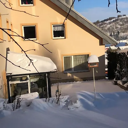 Guest house Irka